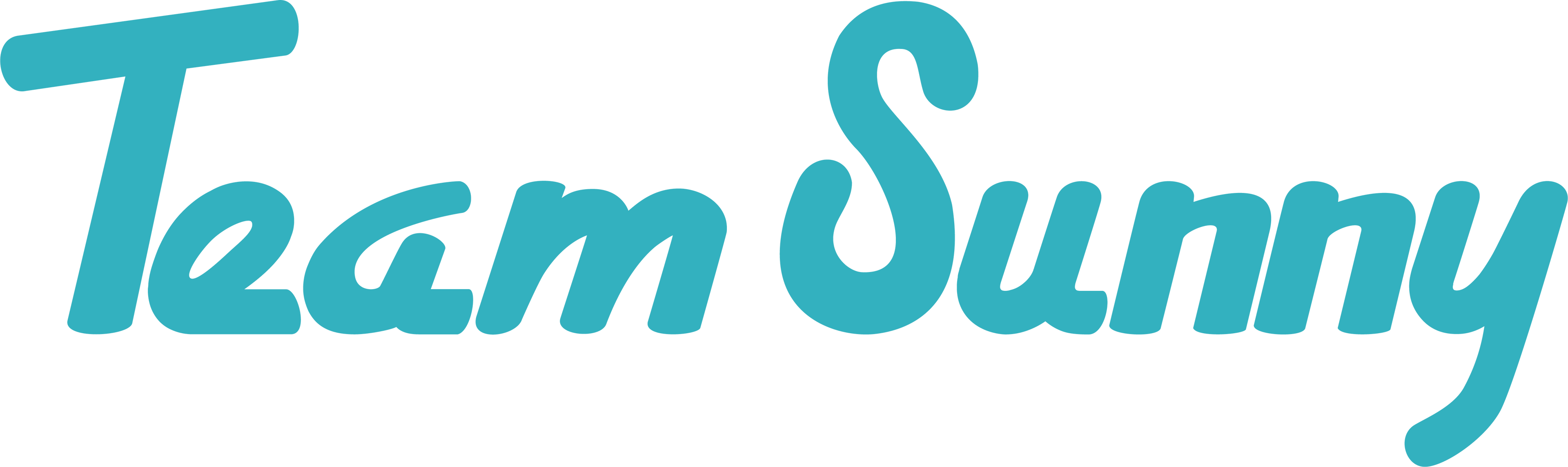 Team Sunny